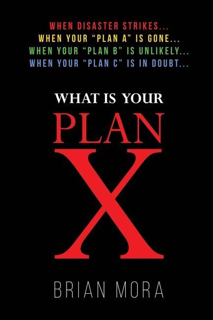 Buch Plan X 