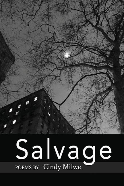 Knjiga Salvage Cindy Milwe