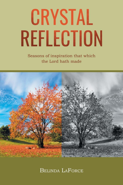 Knjiga Crystal Reflection Belinda LaForce
