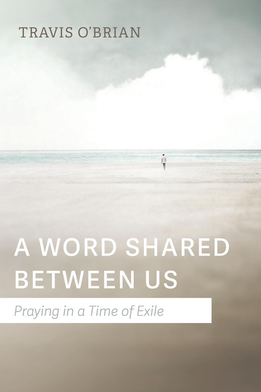 Knjiga Word Shared Between Us Travis O'Brian