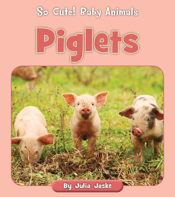 Knjiga Piglets 