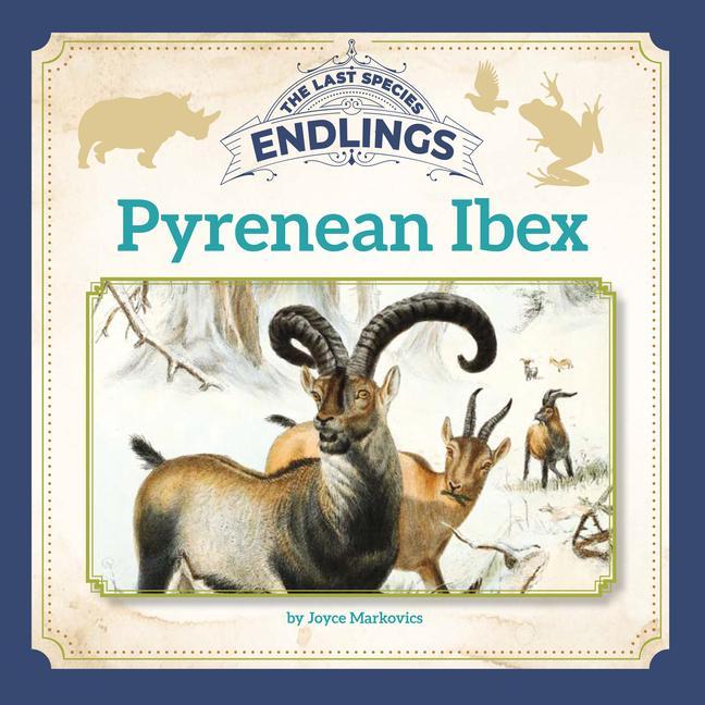 Knjiga Pyrenean Ibex 