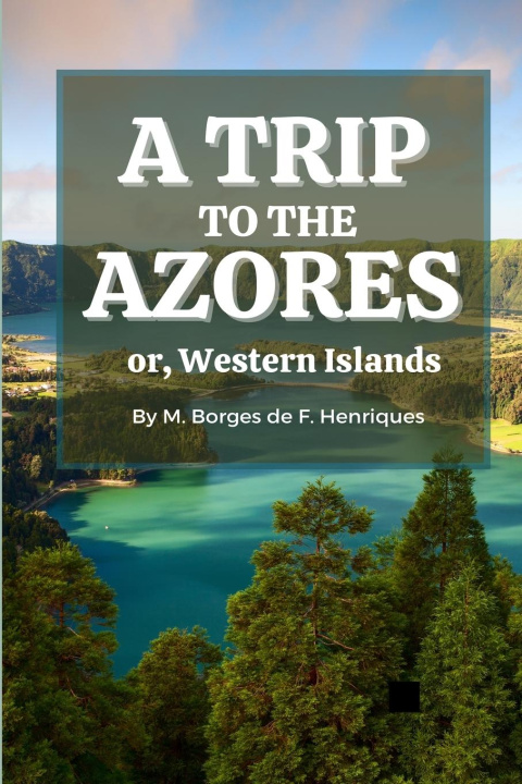 Книга Trip to the Azores, or, Western Islands 