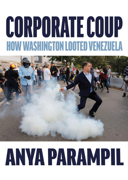 Buch Corporate Coup Anya Parampil