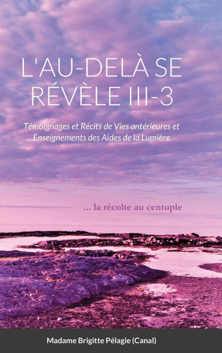 Kniha L'AU-DELA SE REVELE III-3 (couverture rigide) 