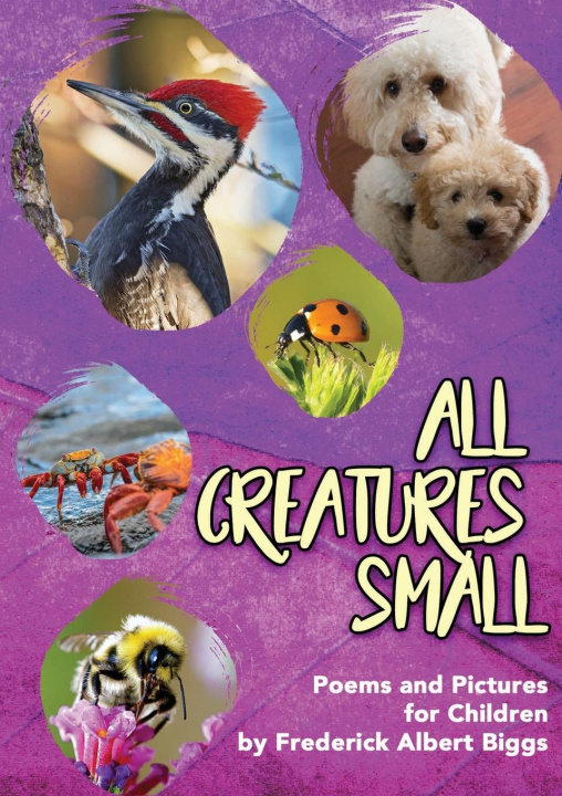 Book All Creatures Small Frederick Albert Biggs