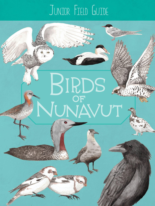 Kniha Junior Field Guide: Birds of Nunavut Merle Harley
