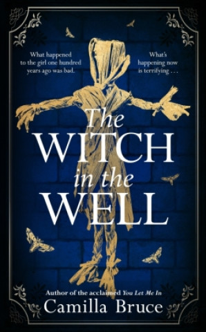 Книга Witch in the Well 