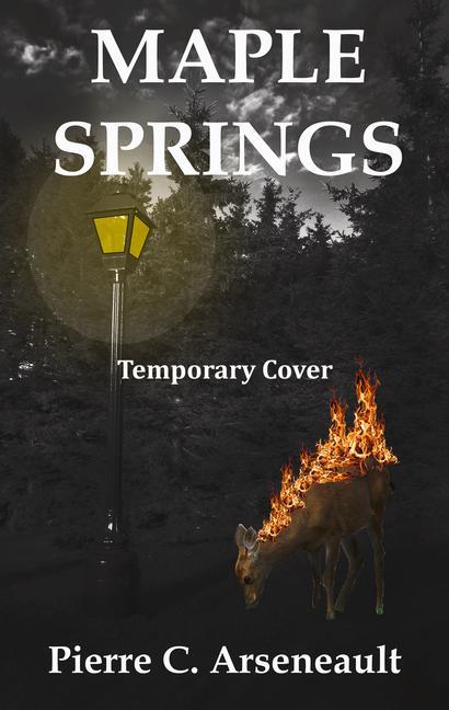 Buch Maple Springs Pierre C Arseneault