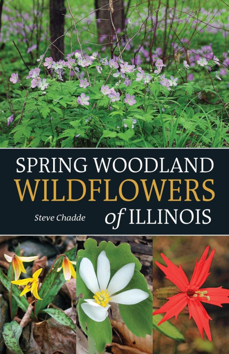 Carte Spring Woodland Wildflowers of Illinois 