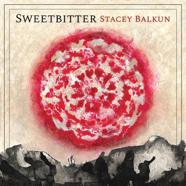 Knjiga Sweetbitter 