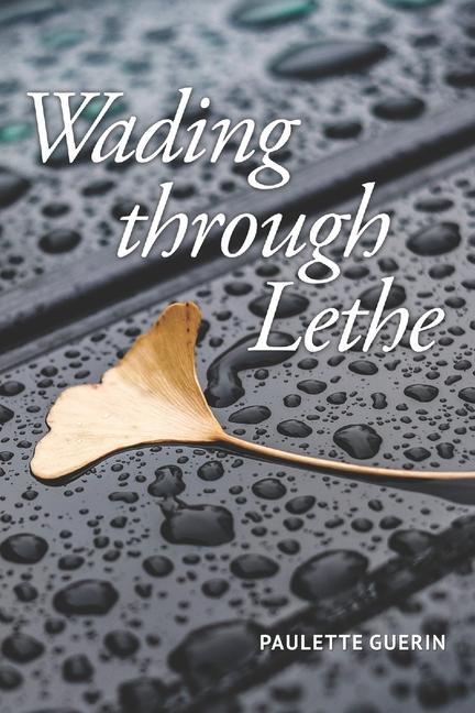 Knjiga Wading through Lethe Julie Kim Shavin