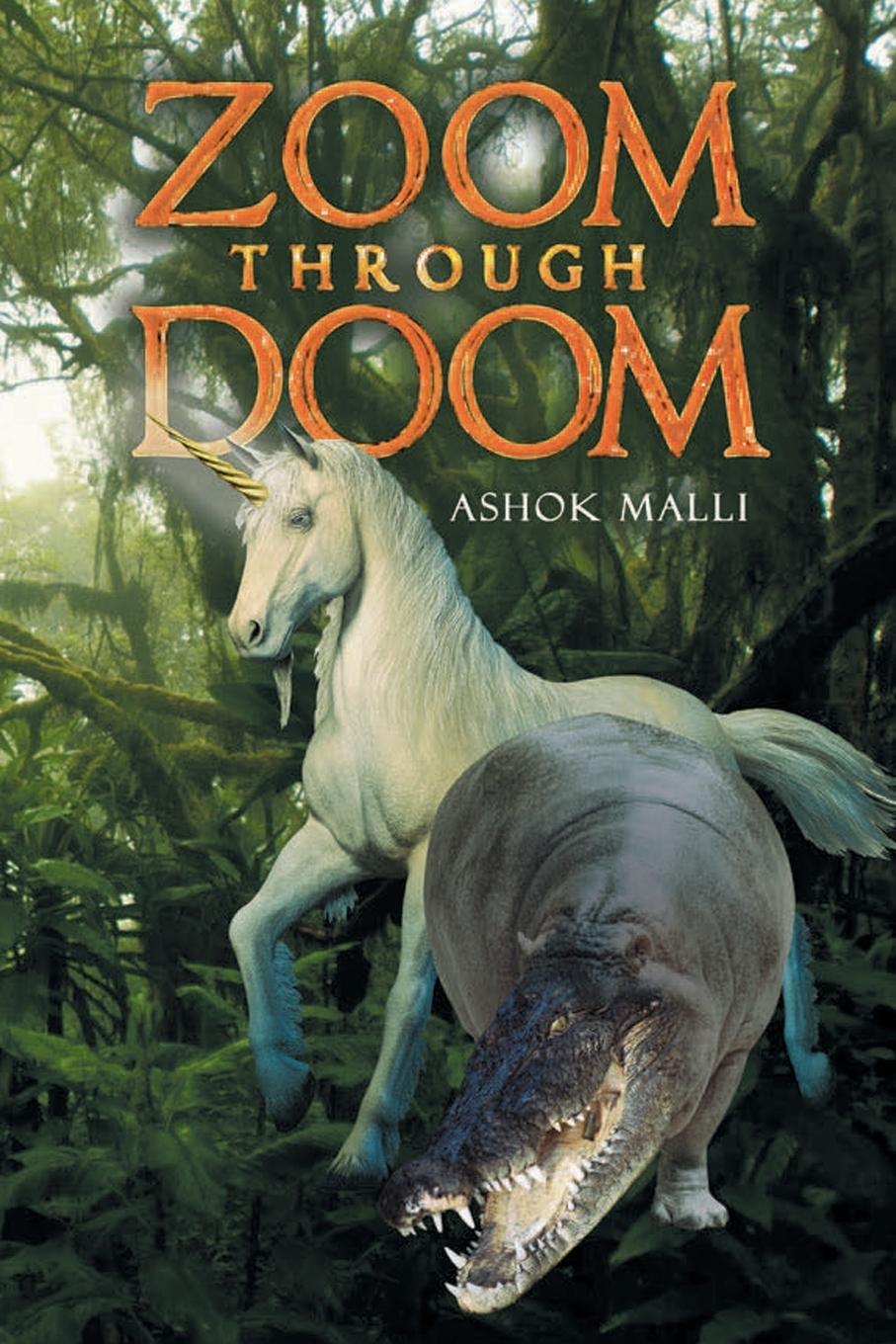 Kniha Zoom through Doom Ashok Malli