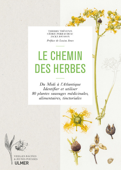 Carte Le chemin des herbes - Du Midi à l'Atlantique : identifier et utiliser 80 plantes sauvages médicinal Thierry Thevenin