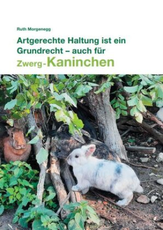 Kniha Artgerechte Haltung ist ein Grundrecht - auch für (Zwerg-) Kaninchen Ruth Morgenegg