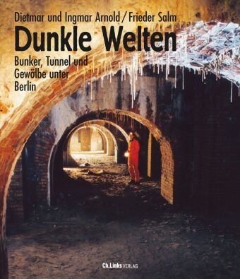 Книга Dunkle Welten Ingmar Arnold