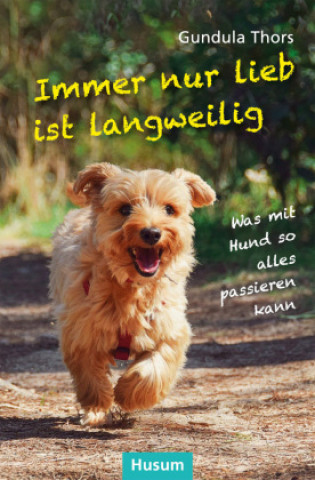 Boek Immer nur lieb ist langweilig Gundula Thors