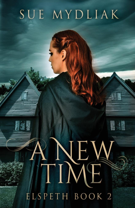 Book New Time Sue Mydliak