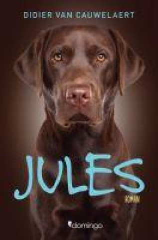 Knjiga Jules 
