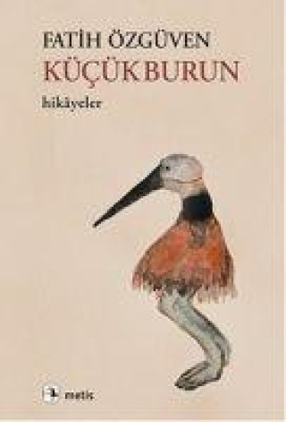 Knjiga Kücükburun 
