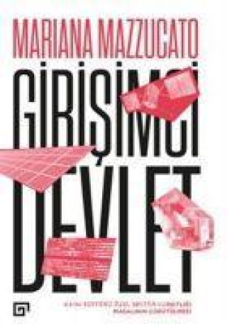 Βιβλίο Girisimci Devlet 