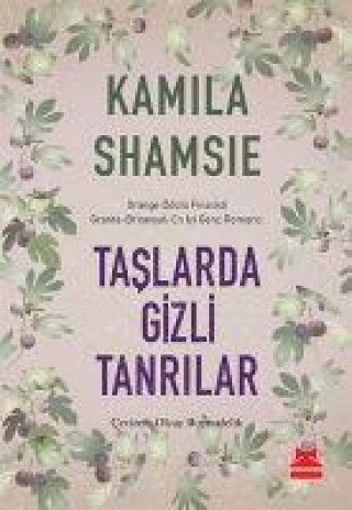 Knjiga Taslarda Gizli Tanrilar 
