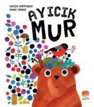 Kniha Ayicik Mur Kaisa Happonen