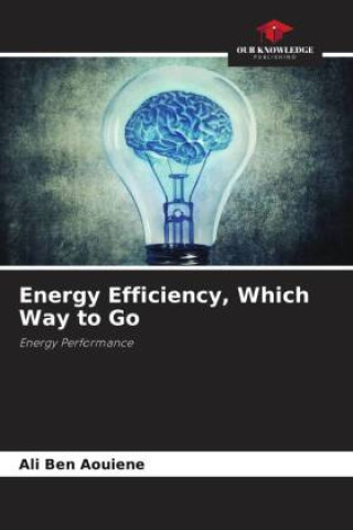 Libro Energy Efficiency, Which Way to Go Ali Ben AOUIENE