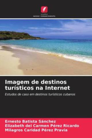 Knjiga Imagem de destinos turísticos na Internet Elizabeth del Carmen Pérez Ricardo