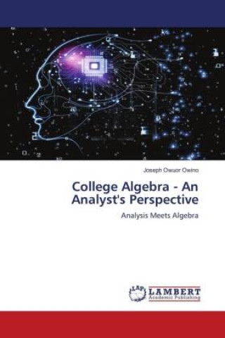 Knjiga College Algebra - An Analyst's Perspective Joseph Owuor Owino