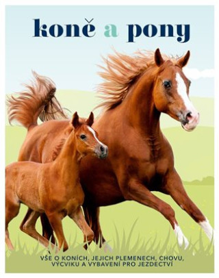 Kniha Koně a pony 