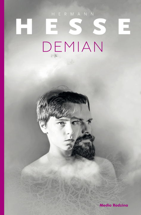 Kniha Demian wyd. 2 Hermann Hesse