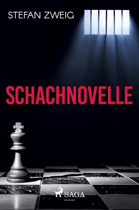 Kniha Schachnovelle 