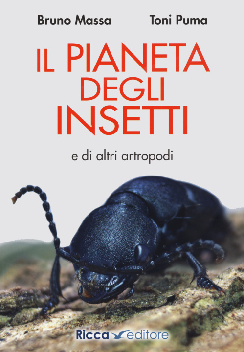 Könyv pianeta degli insetti e di altri artropodi Bruno Massa