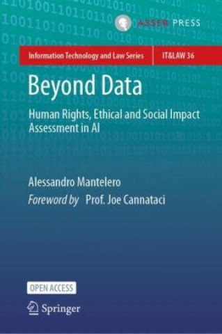 Book Beyond Data Alessandro Mantelero