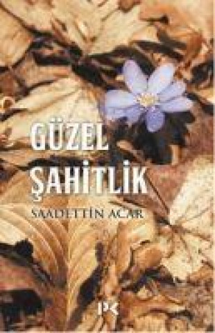 Knjiga Güzel Sahitlik 