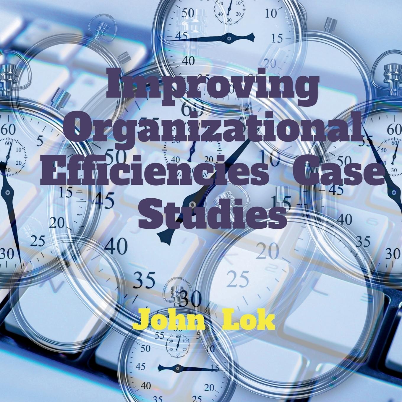 Knjiga Improving Organizational Efficiencies Case Studies John Lok