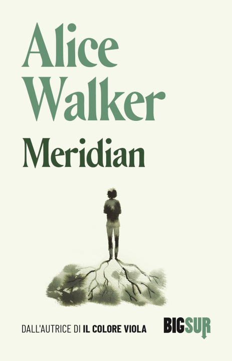 Knjiga Meridian Alice Walker