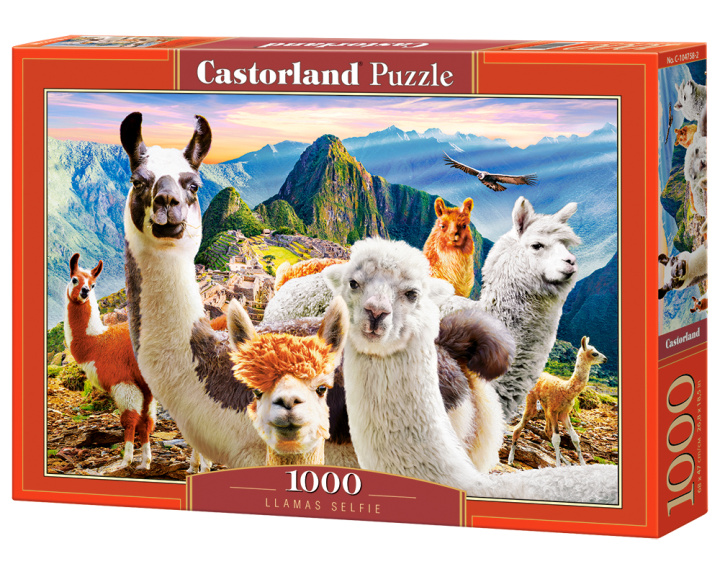 Carte Puzzle 1000 Lamy selfie C-104758-2 