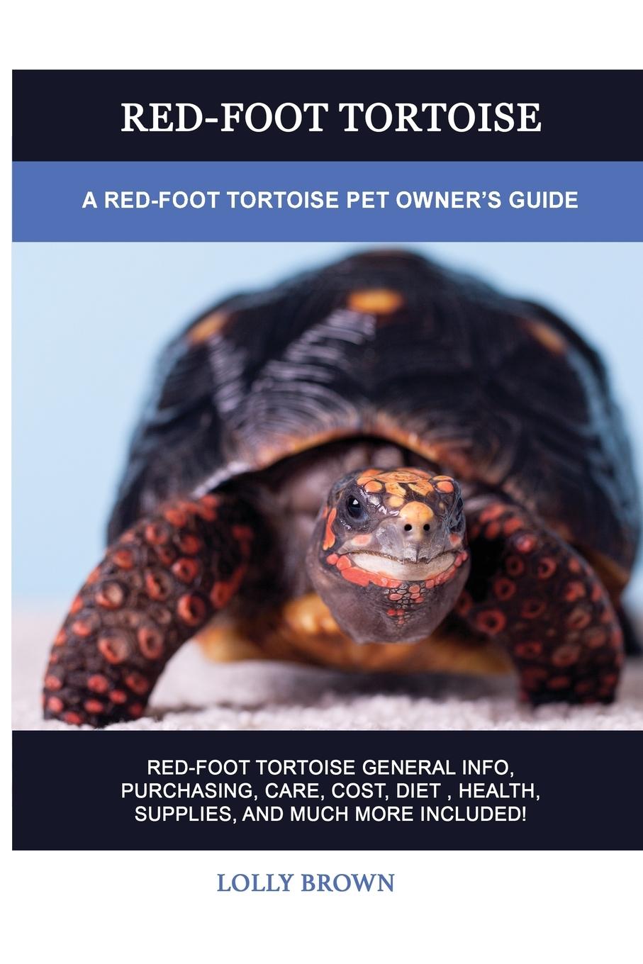 Kniha RED-FOOT TORTOISE: A RED-FOOT TORTOISE P 