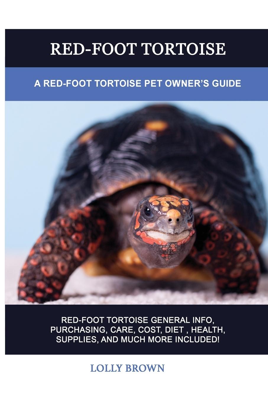 Carte RED-FOOT TORTOISE: A RED-FOOT TORTOISE P 