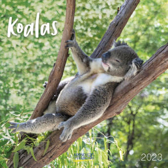 Kalendář/Diář Koala Bären 2023 