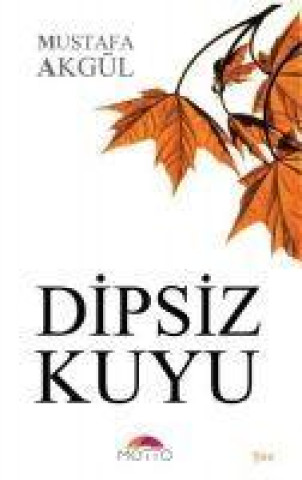 Knjiga Dipsiz Kuyu 