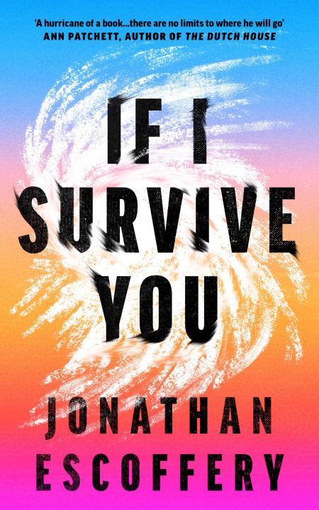 Книга If I Survive You 