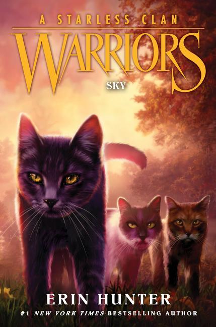 Könyv Warriors: A Starless Clan #2: Sky Erin Hunter