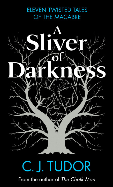 Книга Sliver of Darkness 
