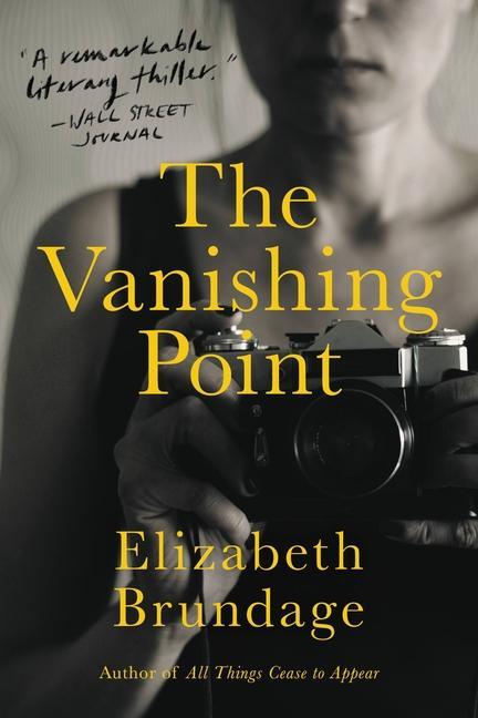 Buch The Vanishing Point Brundage