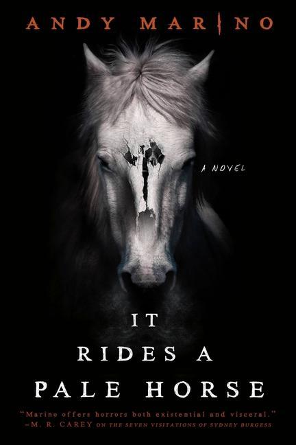 Könyv It Rides a Pale Horse 