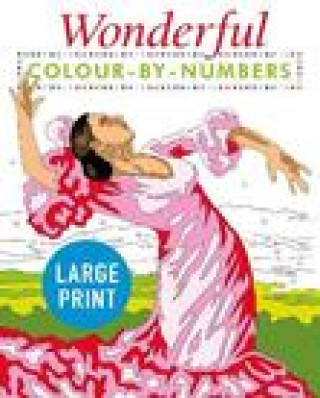 Book Wonderful Colour by Numbers Large Print 