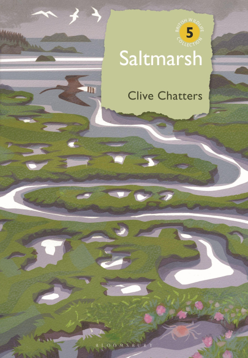 Libro Saltmarsh Clive Chatters